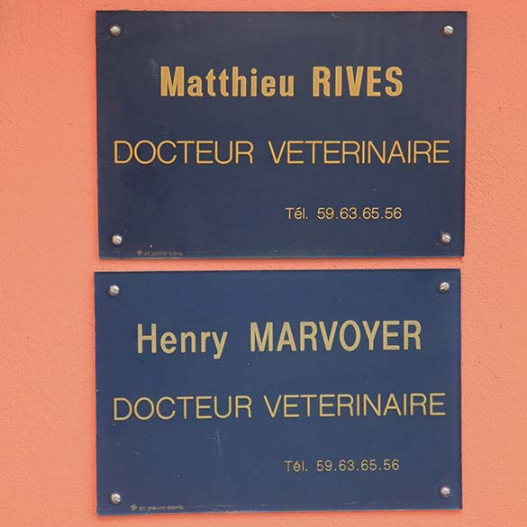 Dr Matthieu Rives