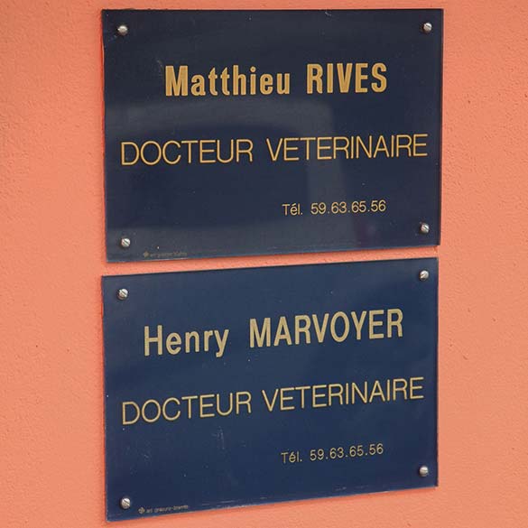 DV Henry Marvoyer